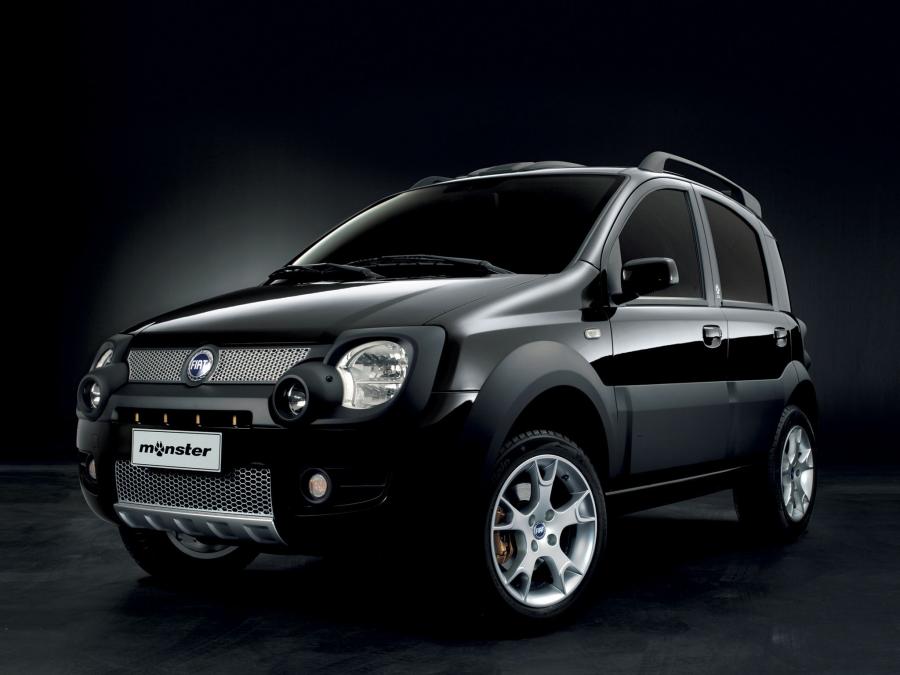  Fiat Panda 4x4 Monster 2006 года  (фото 4 из 5)